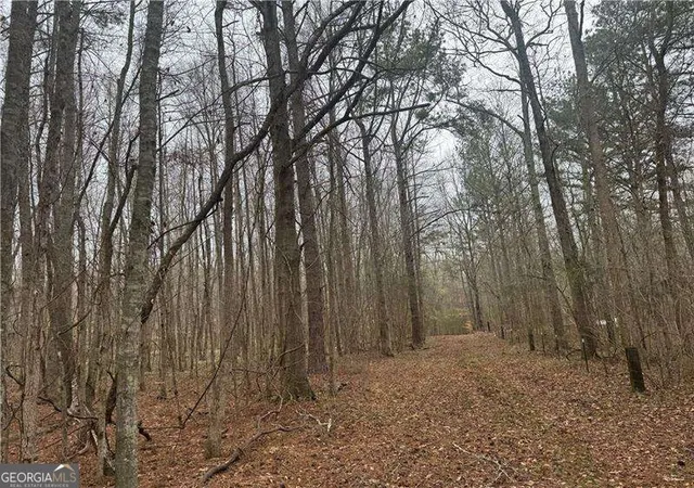 Photo 1 of Land for sale at 0 Indian Crk Trl, Madison, GA 30650 | MLS# 10871152 | Listing updated on 2026-10-26
