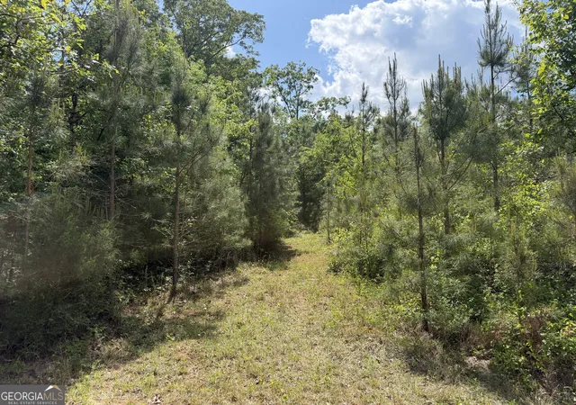 2nd image of 005 George Milling Rd, Cuthbert, GA 39840 | MLS# 10776791