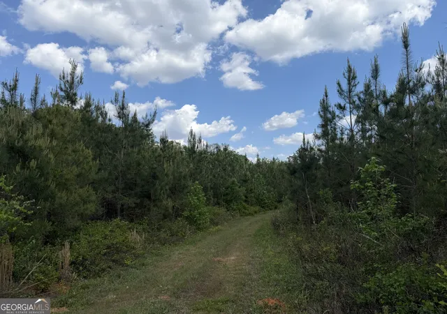 3rd image of 005 George Milling Rd, Cuthbert, GA 39840 | MLS# 10776791