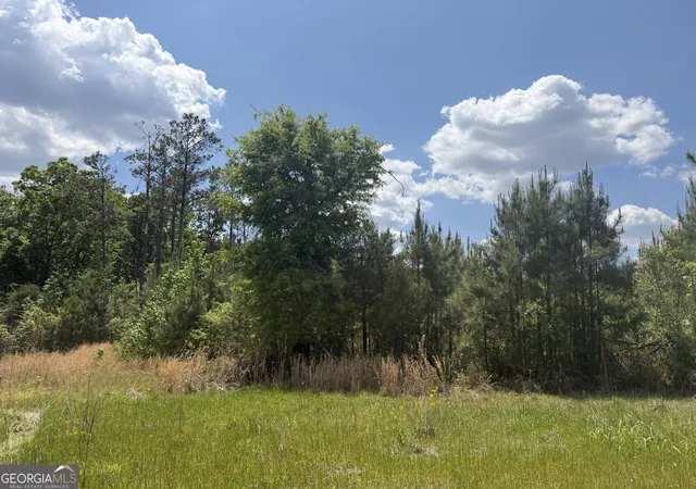 4th image of 005 George Milling Rd, Cuthbert, GA 39840 | MLS# 10776791