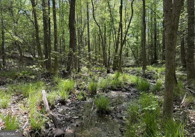 5th image of 005 George Milling Rd, Cuthbert, GA 39840 | MLS# 10776791