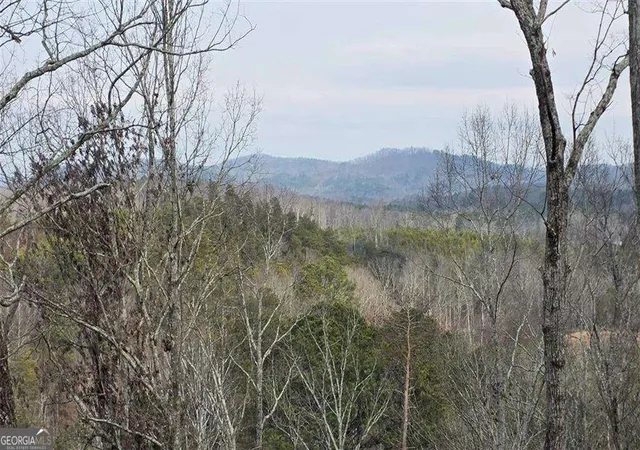 Photo 3 of Land for sale at 611 Pack Rd Ne, Ranger, GA 30734 | MLS# 10713781 | Listing updated on 2026-07-02