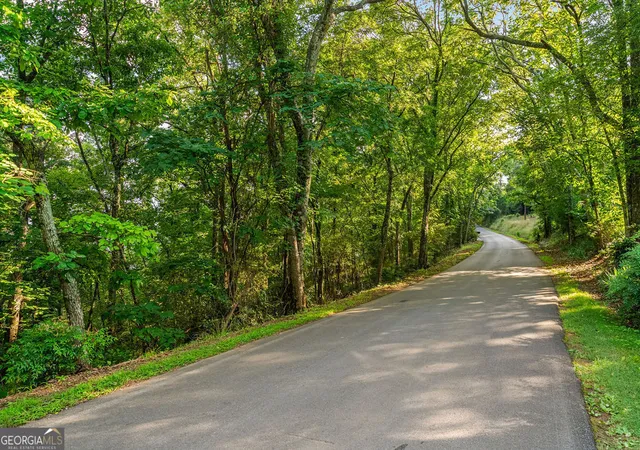 2nd image of 0 Mount Alto Road Sw, Rome, GA 30165 | MLS# 10784821