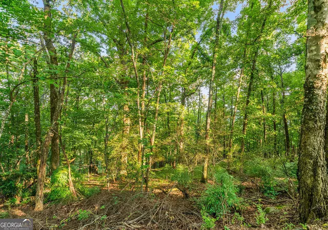 Photo 3 of Land for sale at 0 Mount Alto Rd SW, Rome, GA 30165 | MLS# 10784821 | Listing updated on 2026-06-26