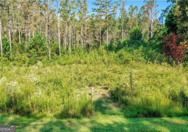 Photo 10 of Land for sale at 13 Poetic Ct, Ellijay, GA 30540 | MLS# 10717391 | Listing updated on 2026-04-08