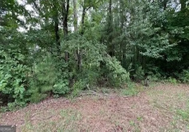 2nd image of 1114 E Shoreview Rd, Mcdonough, GA 30253 | MLS# 10710908