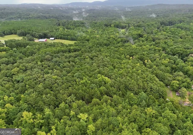 4th image of 0 Hopefull Rd #LOT 3, Munford, AL 36268 | MLS# 10656345