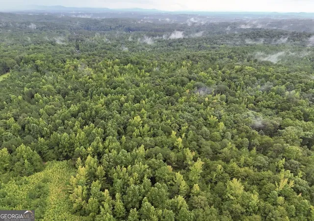 5th image of 0 Hopefull Rd #LOT 3, Munford, AL 36268 | MLS# 10656345