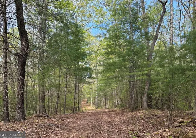 Photo 1 of Land for sale at Lot 20 Big Ben Rd #20, Ellijay, GA 30540 | MLS# 10731641 | Listing updated on 2026-09-04