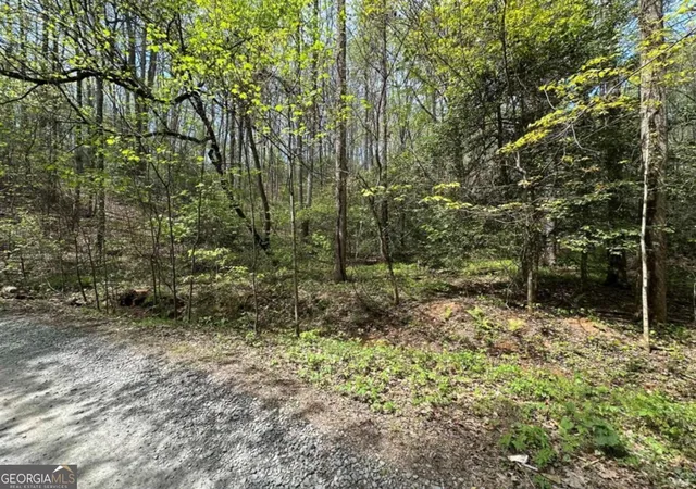 Photo 1 of Land for sale at Lot 20 Big Ben Rd #20, Ellijay, GA 30540 | MLS# 10731641 | Listing updated on 2026-09-04