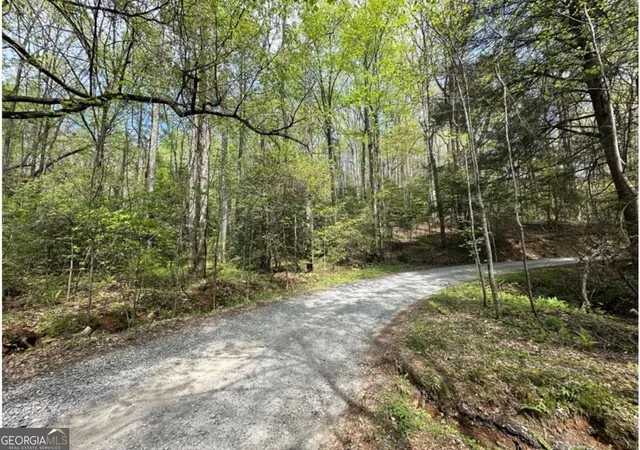 Photo 2 of Land for sale at Lot 20 Big Ben Rd #20, Ellijay, GA 30540 | MLS# 10731641 | Listing updated on 2026-09-04