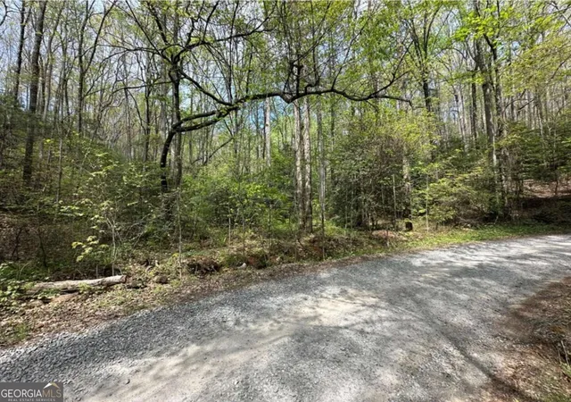 Photo 3 of Land for sale at Lot 20 Big Ben Rd #20, Ellijay, GA 30540 | MLS# 10731641 | Listing updated on 2026-09-04