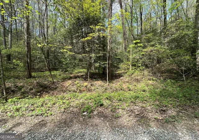 Photo 4 of Land for sale at Lot 20 Big Ben Rd #20, Ellijay, GA 30540 | MLS# 10731641 | Listing updated on 2026-09-04