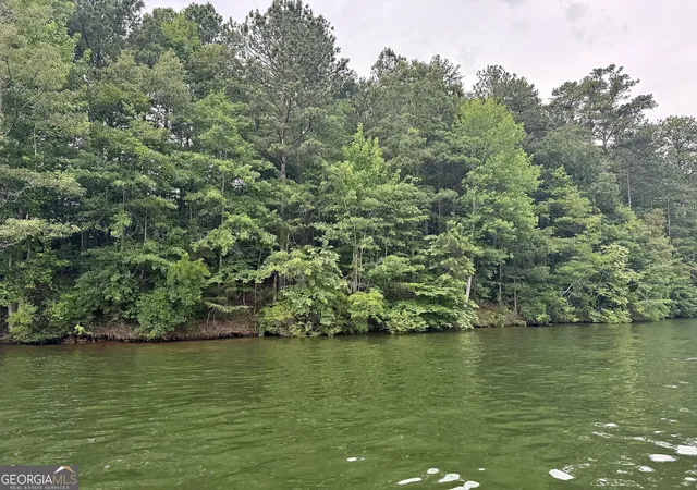 2nd image of Lot 32 Walnut Street, Wedowee, AL 36278 | MLS# 10781453