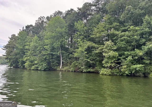 3rd image of Lot 32 Walnut Street, Wedowee, AL 36278 | MLS# 10781453