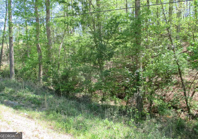 Photo 3 of Land for sale at 0 Morrison Moore Pkwy E, Dahlonega, GA 30533 | MLS# 10735730 | Listing updated on 2026-05-01
