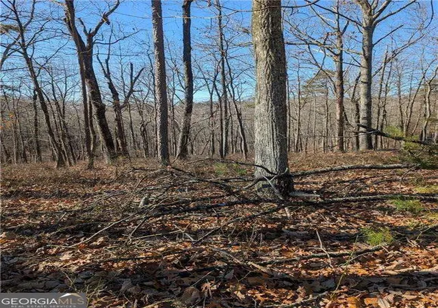 Photo 1 of Land for sale at 1422 Hanna Dr, Ranger, GA 30734 | MLS# 10489412 | Listing updated on 2025-12-08