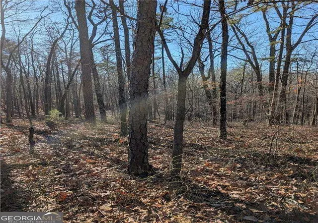 Photo 2 of Land for sale at 1422 Hanna Dr, Ranger, GA 30734 | MLS# 10489412 | Listing updated on 2025-12-08