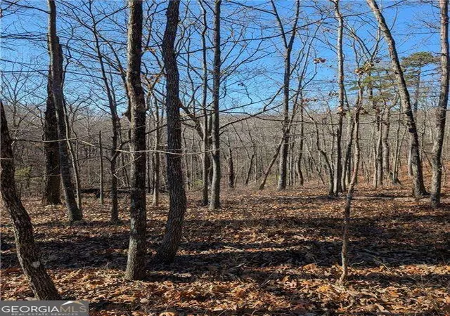 Photo 3 of Land for sale at 1422 Hanna Dr, Ranger, GA 30734 | MLS# 10489412 | Listing updated on 2025-12-08