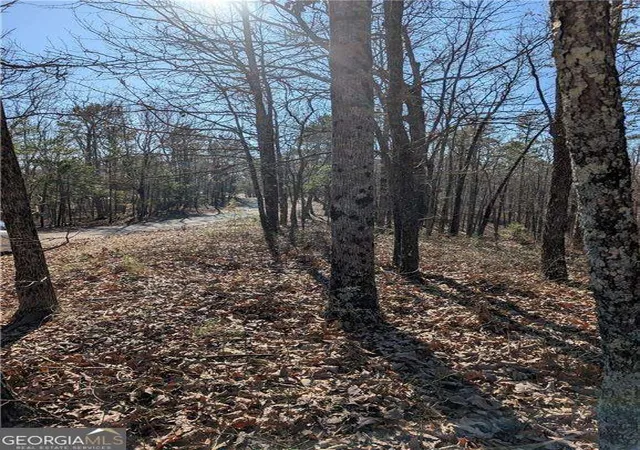 Photo 3 of Land for sale at 1422 Hanna Dr, Ranger, GA 30734 | MLS# 10489412 | Listing updated on 2025-12-08