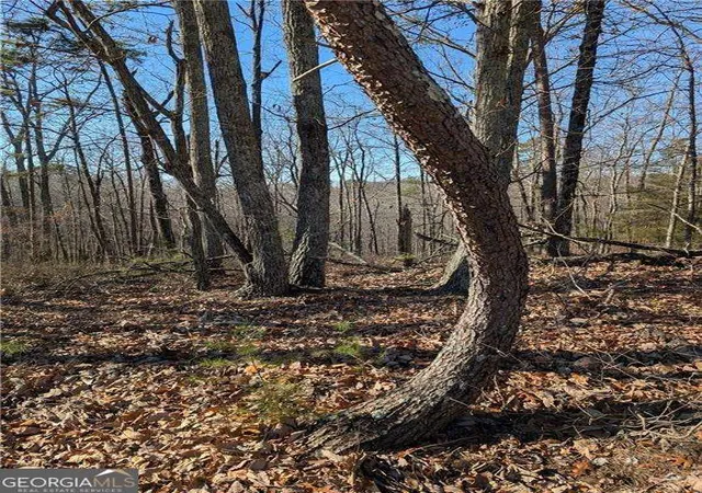 Photo 4 of Land for sale at 1422 Hanna Dr, Ranger, GA 30734 | MLS# 10489412 | Listing updated on 2025-12-08