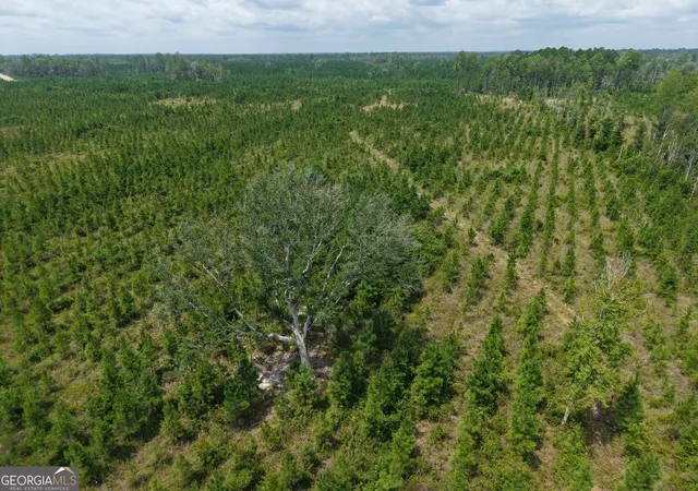 Photo 1 of Land for sale at Tract 5 Owens Ferry Rd, White Oak, GA 31568 | MLS# 10832403 | Listing updated on 2026-09-23