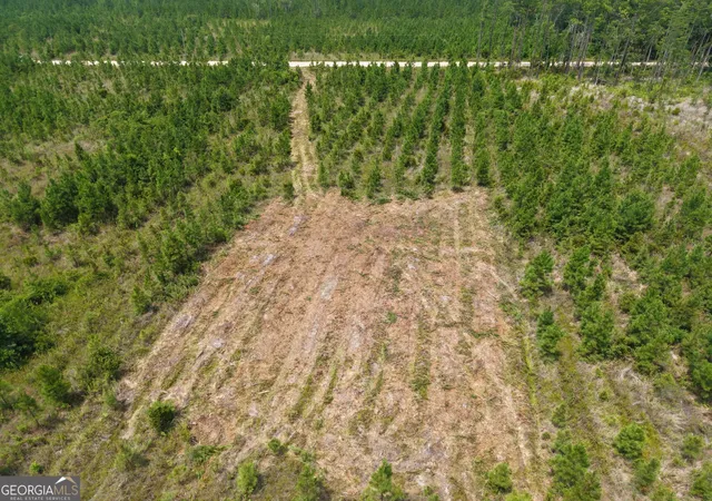 Photo 2 of Land for sale at Tract 5 Owens Ferry Rd, White Oak, GA 31568 | MLS# 10832403 | Listing updated on 2026-09-23