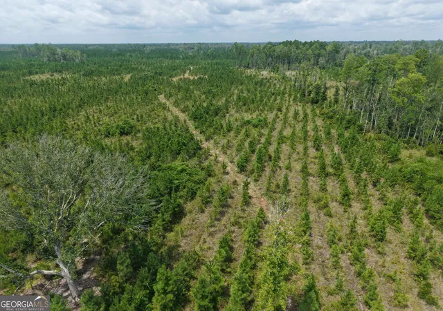 Photo 3 of Land for sale at Tract 5 Owens Ferry Rd, White Oak, GA 31568 | MLS# 10832403 | Listing updated on 2026-09-23