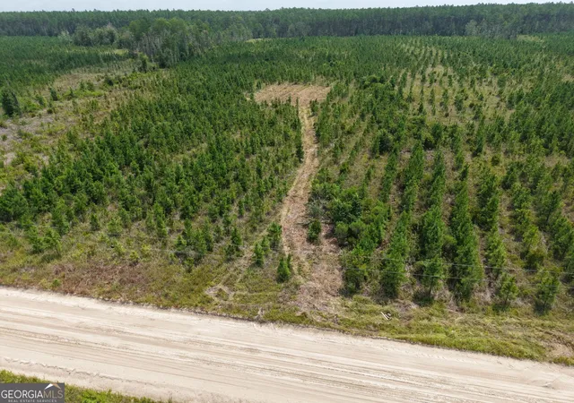 Photo 3 of Land for sale at Tract 5 Owens Ferry Rd, White Oak, GA 31568 | MLS# 10832403 | Listing updated on 2026-09-23
