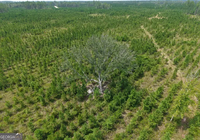 Photo 4 of Land for sale at Tract 5 Owens Ferry Rd, White Oak, GA 31568 | MLS# 10832403 | Listing updated on 2026-09-23