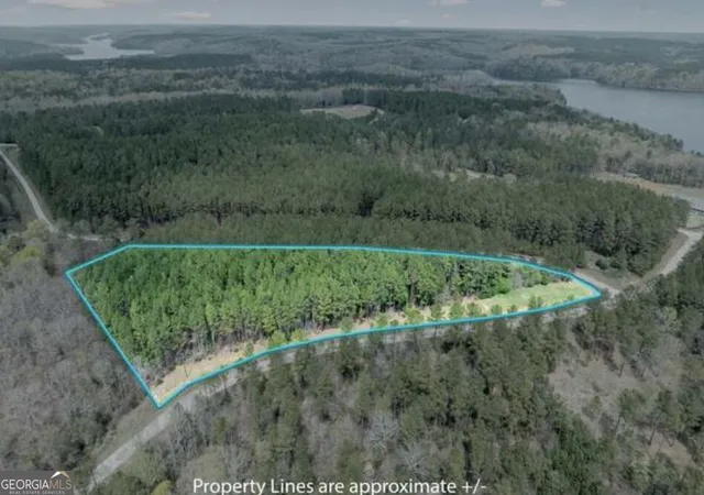 Photo 4 of Land for sale at Lot 15T Hornets Bridge Dr, Elberton, GA 30635 | MLS# 10824249 | Listing updated on 2026-10-11