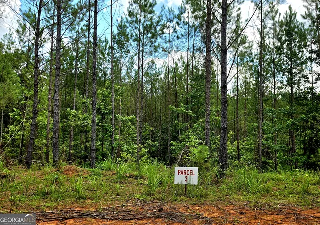 3rd image of 0 Hwy 42 S #LOT 8, Forsyth, GA 31029 | MLS# 10802351