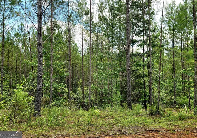4th image of 0 Hwy 42 S #LOT 8, Forsyth, GA 31029 | MLS# 10802351