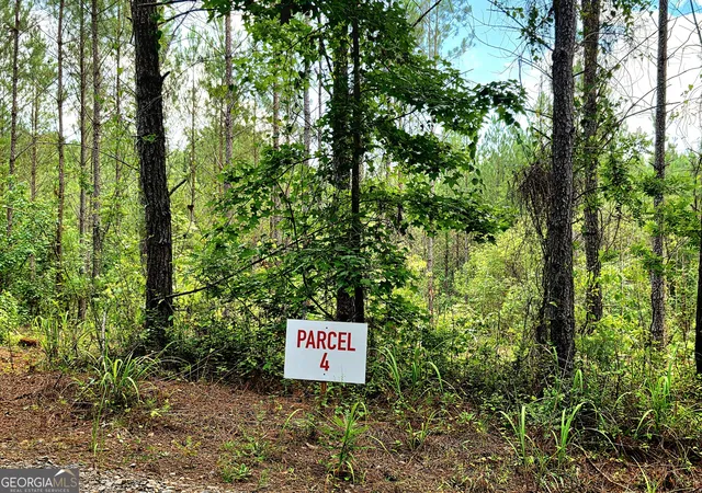 5th image of 0 Hwy 42 S #LOT 8, Forsyth, GA 31029 | MLS# 10802351