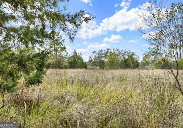 Photo 1 of Land for sale at 187 Burton Rd, Savannah, GA 31405 | MLS# 10614426 | Listing updated on 2026-04-20
