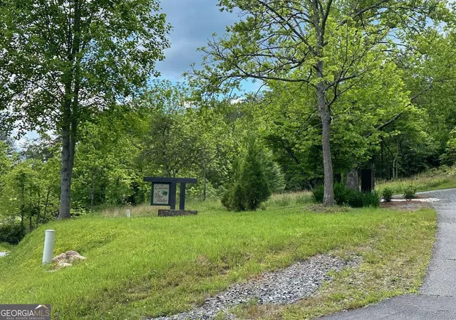 Photo 3 of Land for sale at Lt 12 Mountain Laurel Ridge, Blue Ridge, GA 30513 | MLS# 10798623 | Listing updated on 2026-07-17