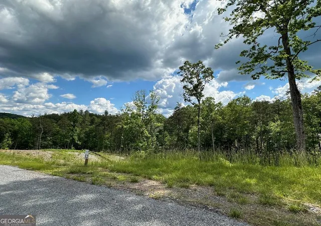 Photo 3 of Land for sale at Lt 12 Mountain Laurel Ridge, Blue Ridge, GA 30513 | MLS# 10798623 | Listing updated on 2026-07-17