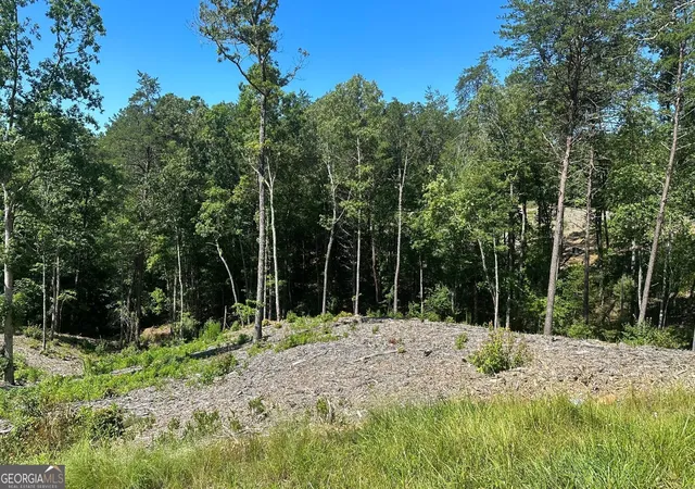 Photo 4 of Land for sale at Lt 12 Mountain Laurel Ridge, Blue Ridge, GA 30513 | MLS# 10798623 | Listing updated on 2026-07-17
