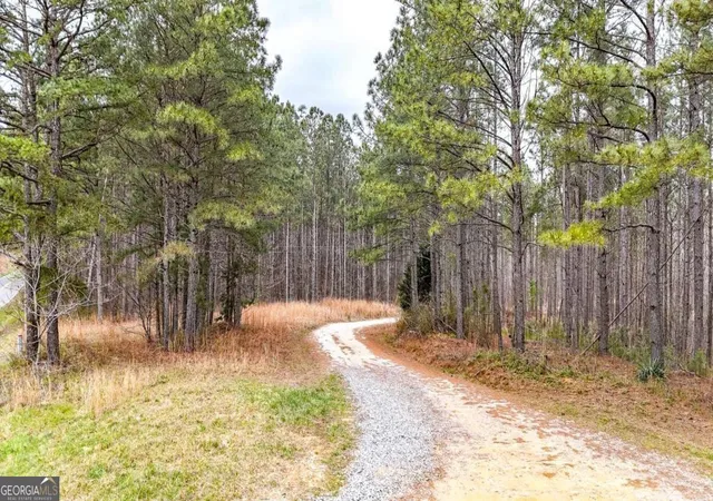 Homes for sale in Buchanan, GA | 0 Felton Rockmart Rd, Buchanan, GA 30113 | MLS# 10723383