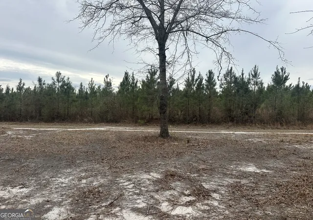 2nd image of 160 Landing Road, Sylvania, GA 30467 | MLS# 10715687