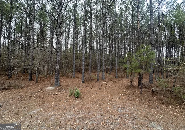 3rd image of 160 Landing Road, Sylvania, GA 30467 | MLS# 10715687