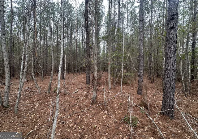 4th image of 160 Landing Road, Sylvania, GA 30467 | MLS# 10715687