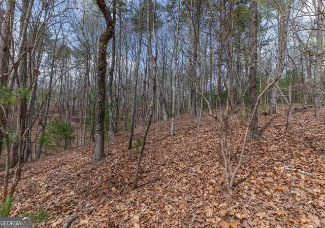 Photo 1 of Land for sale at Lot 7a Glenridge Way, Ellijay, GA 30540 | MLS# 10726954 | Listing updated on 2026-10-30