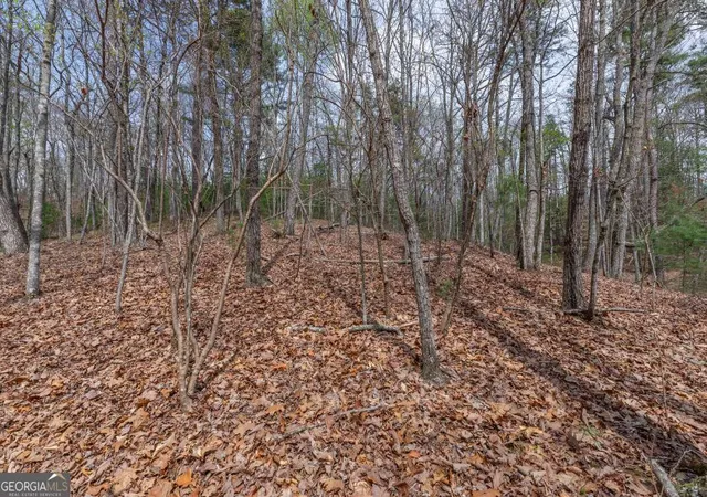 Photo 2 of Land for sale at Lot 7a Glenridge Way, Ellijay, GA 30540 | MLS# 10726954 | Listing updated on 2026-10-30