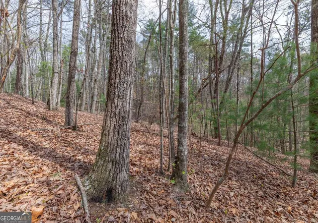 Photo 3 of Land for sale at Lot 7a Glenridge Way, Ellijay, GA 30540 | MLS# 10726954 | Listing updated on 2026-10-30