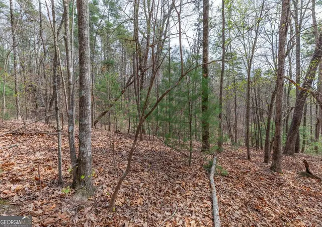 Photo 4 of Land for sale at Lot 7a Glenridge Way, Ellijay, GA 30540 | MLS# 10726954 | Listing updated on 2026-10-30