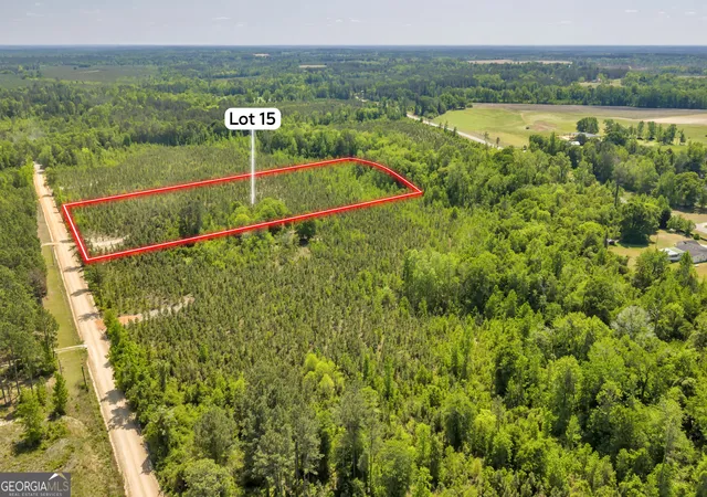 14th image of 15 Graham Ln, Cadwell, GA 31009 | MLS# 10776804