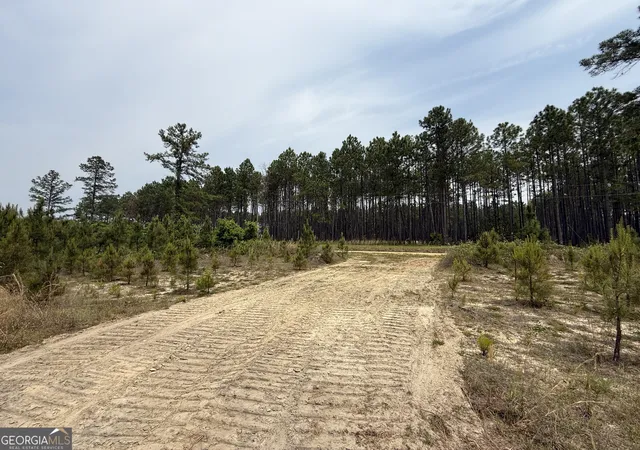 4th image of 15 Graham Ln, Cadwell, GA 31009 | MLS# 10776804