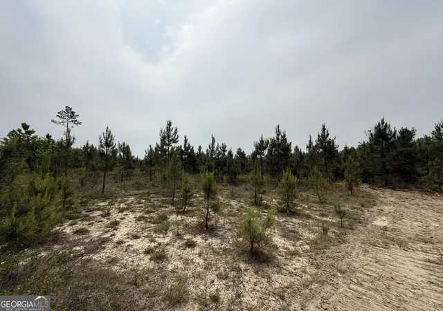 5th image of 15 Graham Ln, Cadwell, GA 31009 | MLS# 10776804