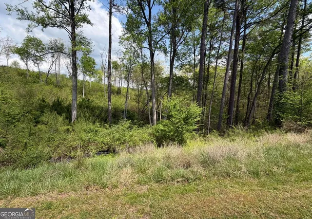 1st image of 238 Lecroy Dr, Ellijay, GA 30540 | MLS# 10739314